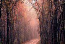 征途国际:吴晙诚4-3迪博-泊雷特,斩获WTT球星挑战赛金奈站男单冠军.