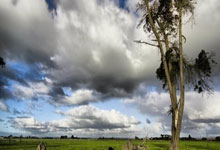 征途国际：英媒：范迪克预计离队&科纳特续约无进展，利物浦关注施洛特贝克.