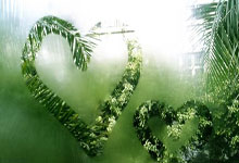 征途国际：绿茵守望者201820小时前.